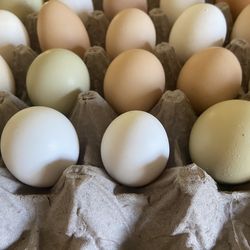 Fresh Farm Eggs