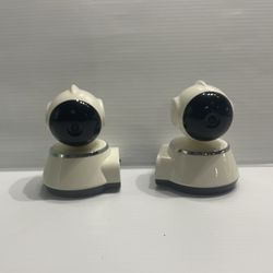 Dual Surveillance Cameras