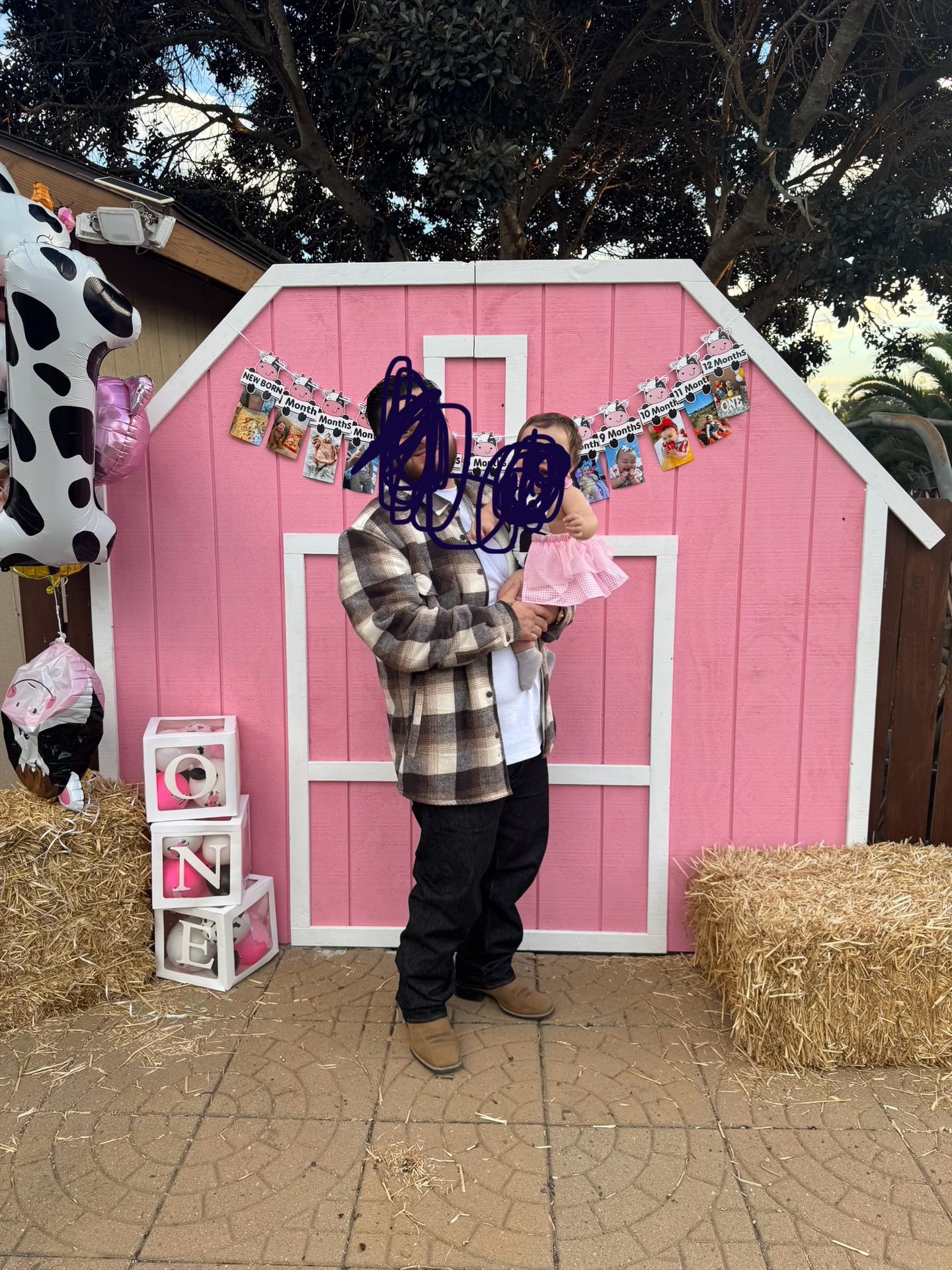 Pink Barn Decoration