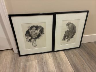 Vintage graphite illustrations by “Stone”