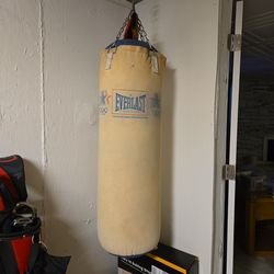 Everlast punching bag