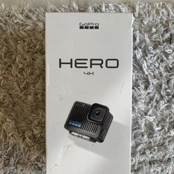Go pro hero