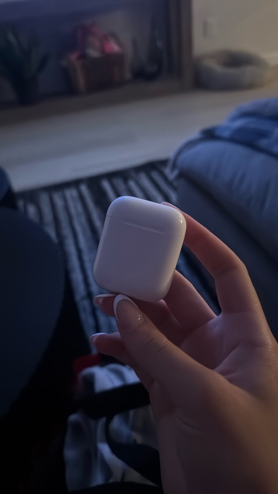 Brand New AirPod Case No AirPods