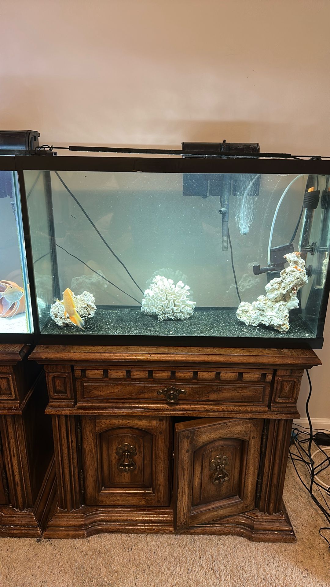 30 Gallon