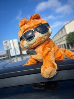 Garfield Ty