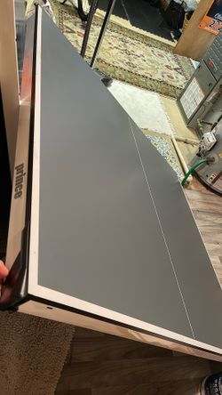 Ping pong table
