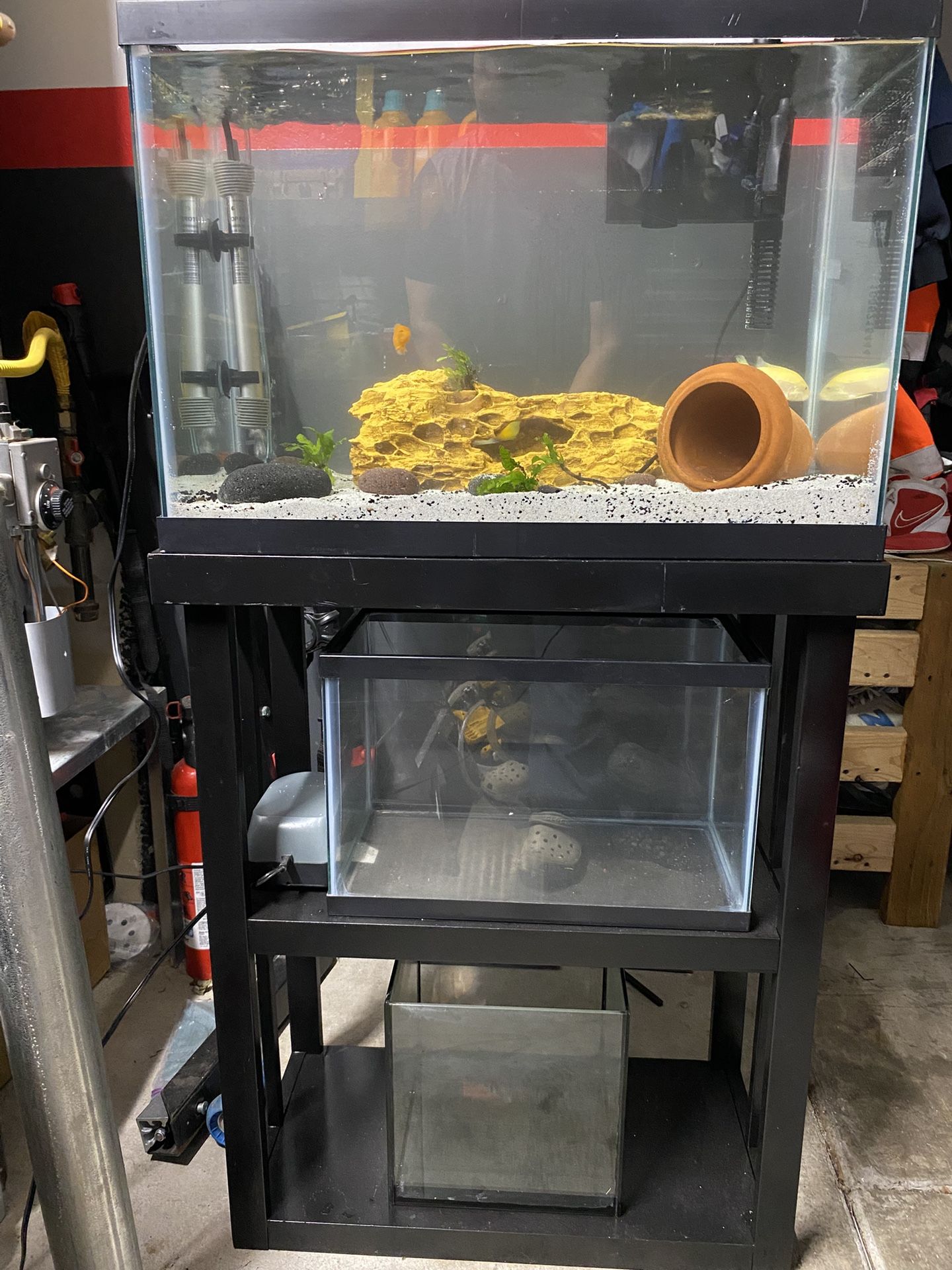 30, 20, 10, 2.5 gallon tank aquarium