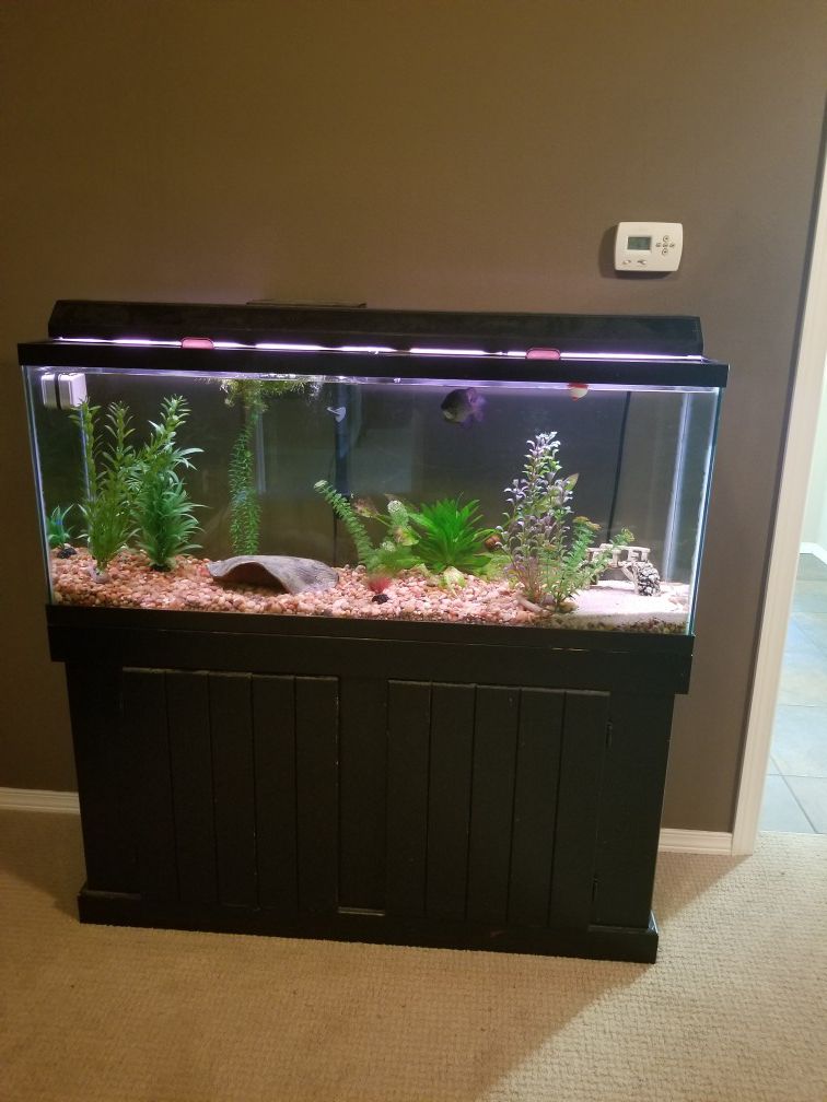 55 gallon aquarium w/ all accessories