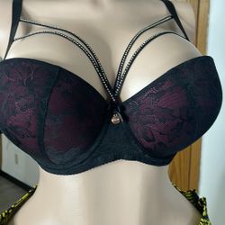 Women Bra Sizes 38D