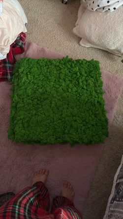 Preserved Moss Green