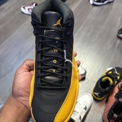 University Gold Air Jordan 12