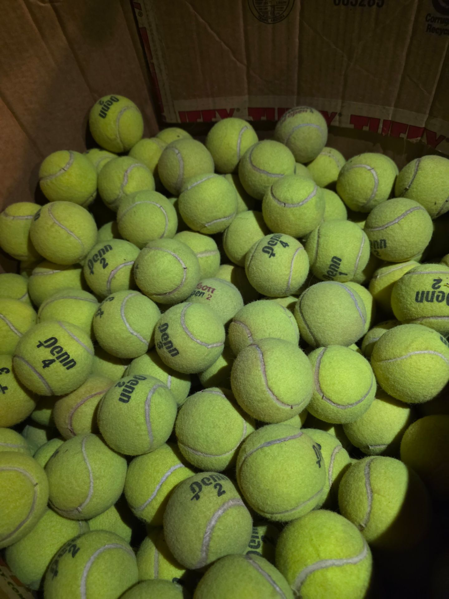 50 Tennis Balls for $15