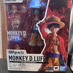 Raid On Onigashima Luffy