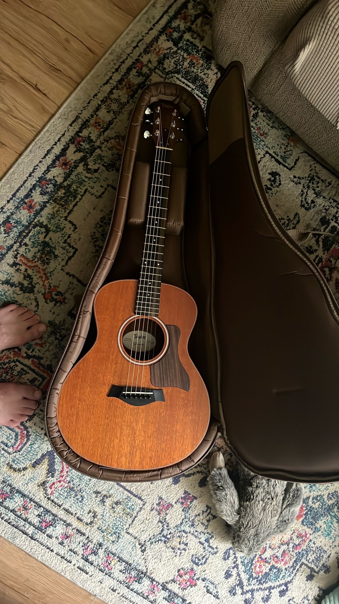 Taylor GS Mini