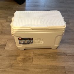 Igloo Cooler -25 Quart / 23 liter