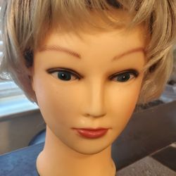 New ! Sandy Blonde wig 
Saginaw pick up 