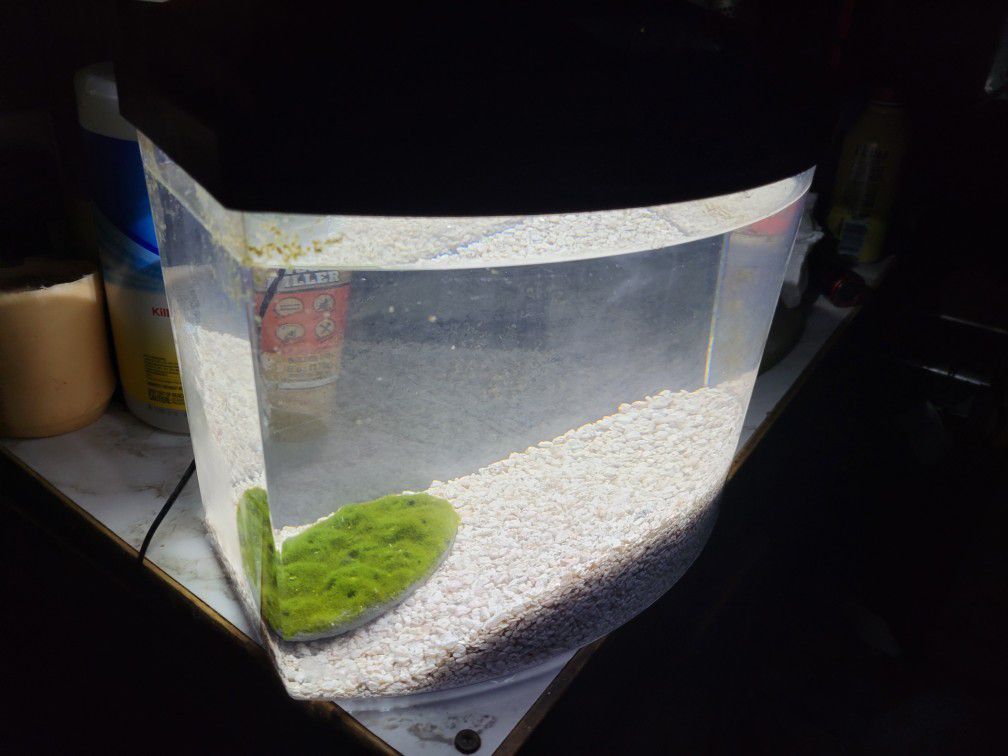 Aqueon LED with SmartClean , 2.5 Gallon

