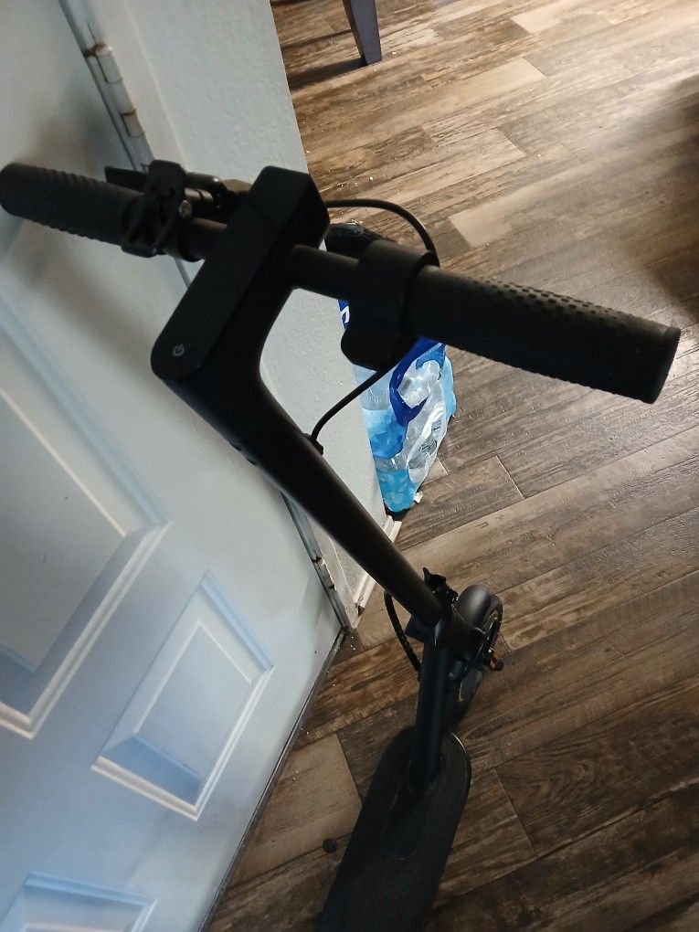 Adult Electric Scooter