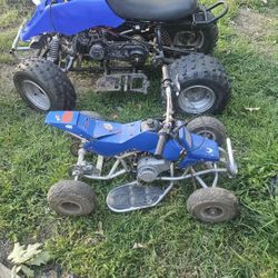 ETon Viper 70cc And Mini Quad 25cc 