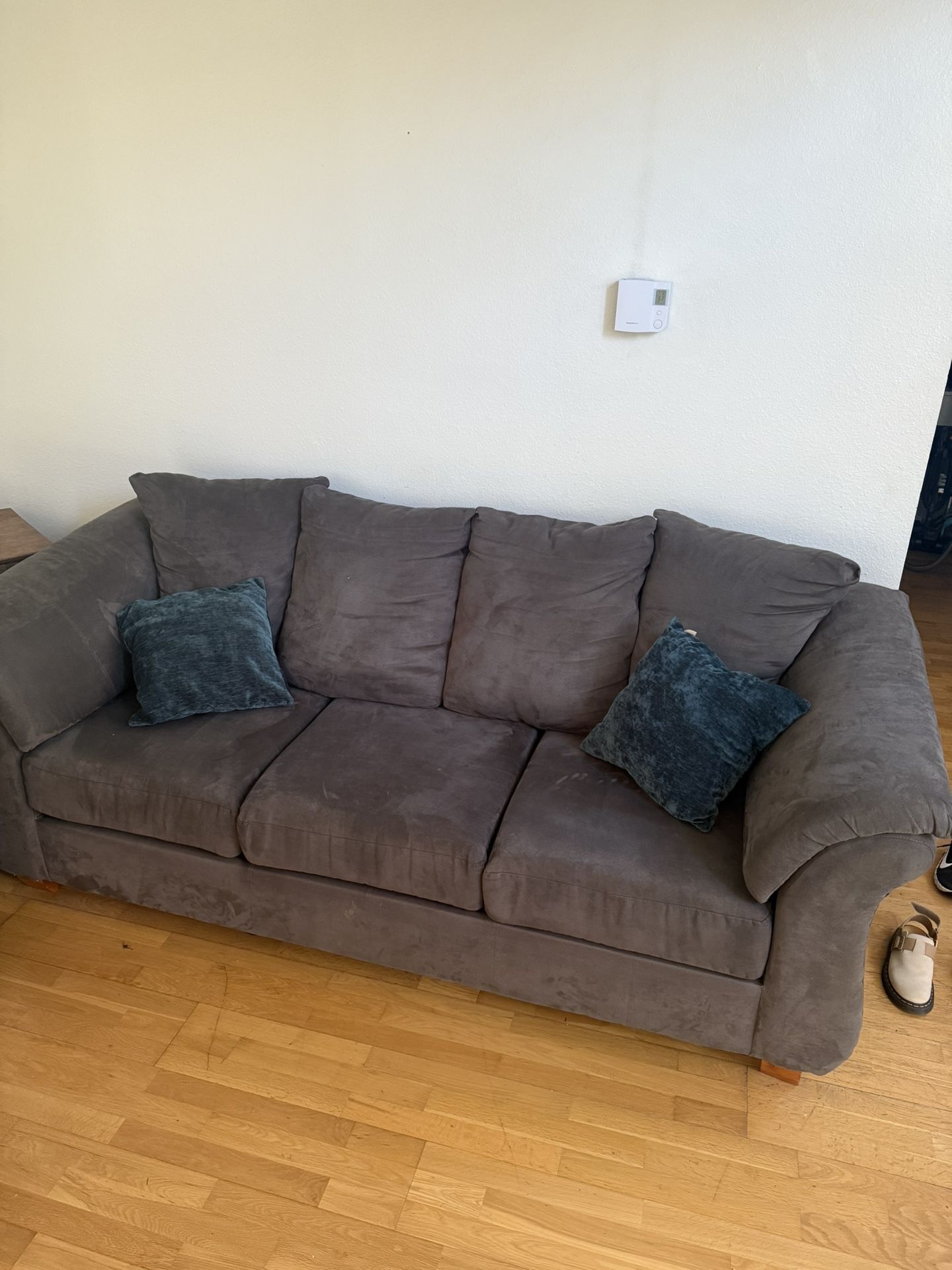 Couch and Loveseat