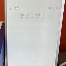 LG Clothing Steamer 