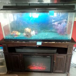 55 Gallon Fish Tank