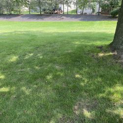 Canfield cemetery Plot