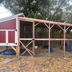 Large Chicken Coop