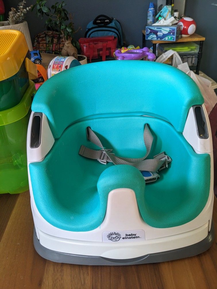 Baby Einstein Booster Seat 