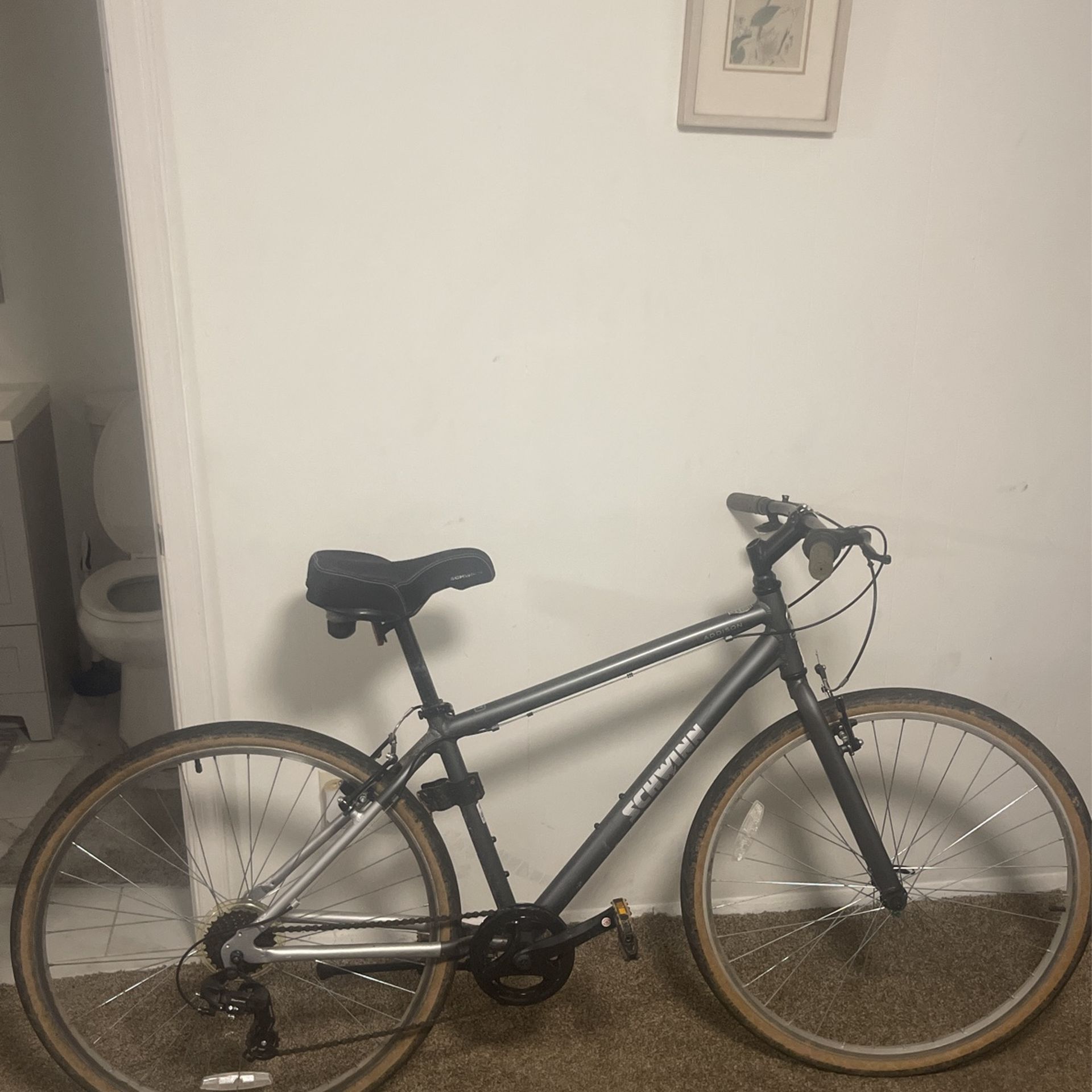Adult Mountain Bike Schwinn Brand