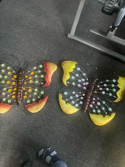 Butterflies