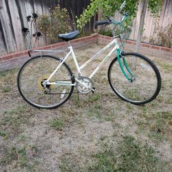 Ladies 10 Spped Magna Fitness Bike.