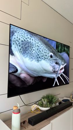 Sony OLED 65” TV