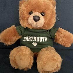 Teddy Bear Dartmouth $15