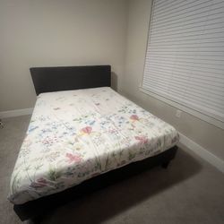 Zinus Queen Bed Frame