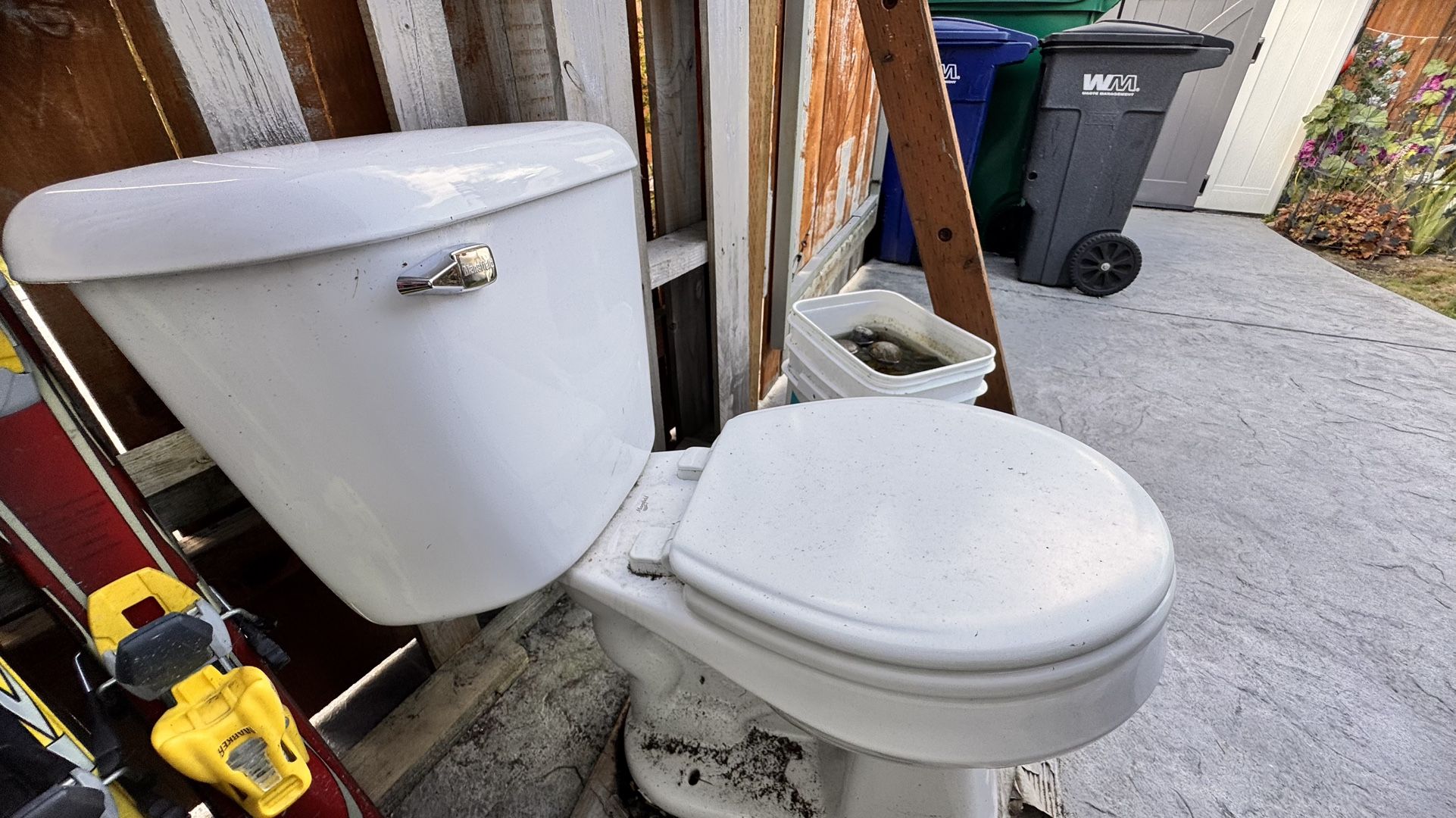 Toilet