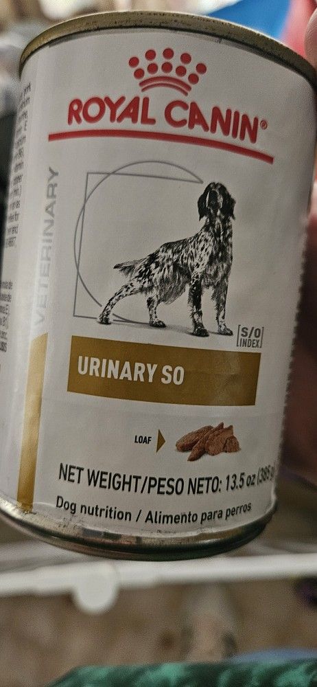 Free Dog Food