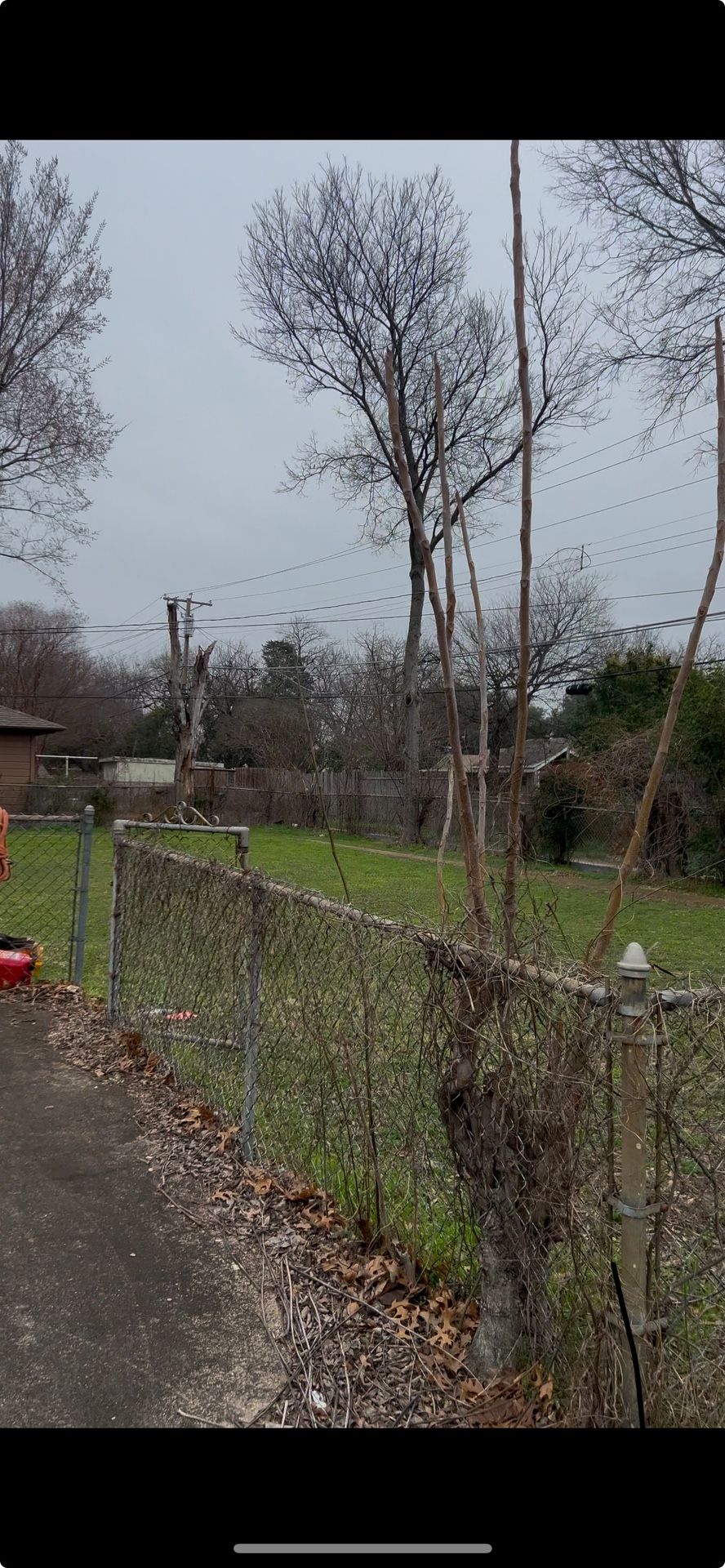 Old Chain Link Fence Removal