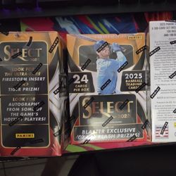 Panini MLB Hobby Blaster 