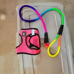 Dog Harness With Leash