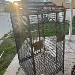Bird Cage