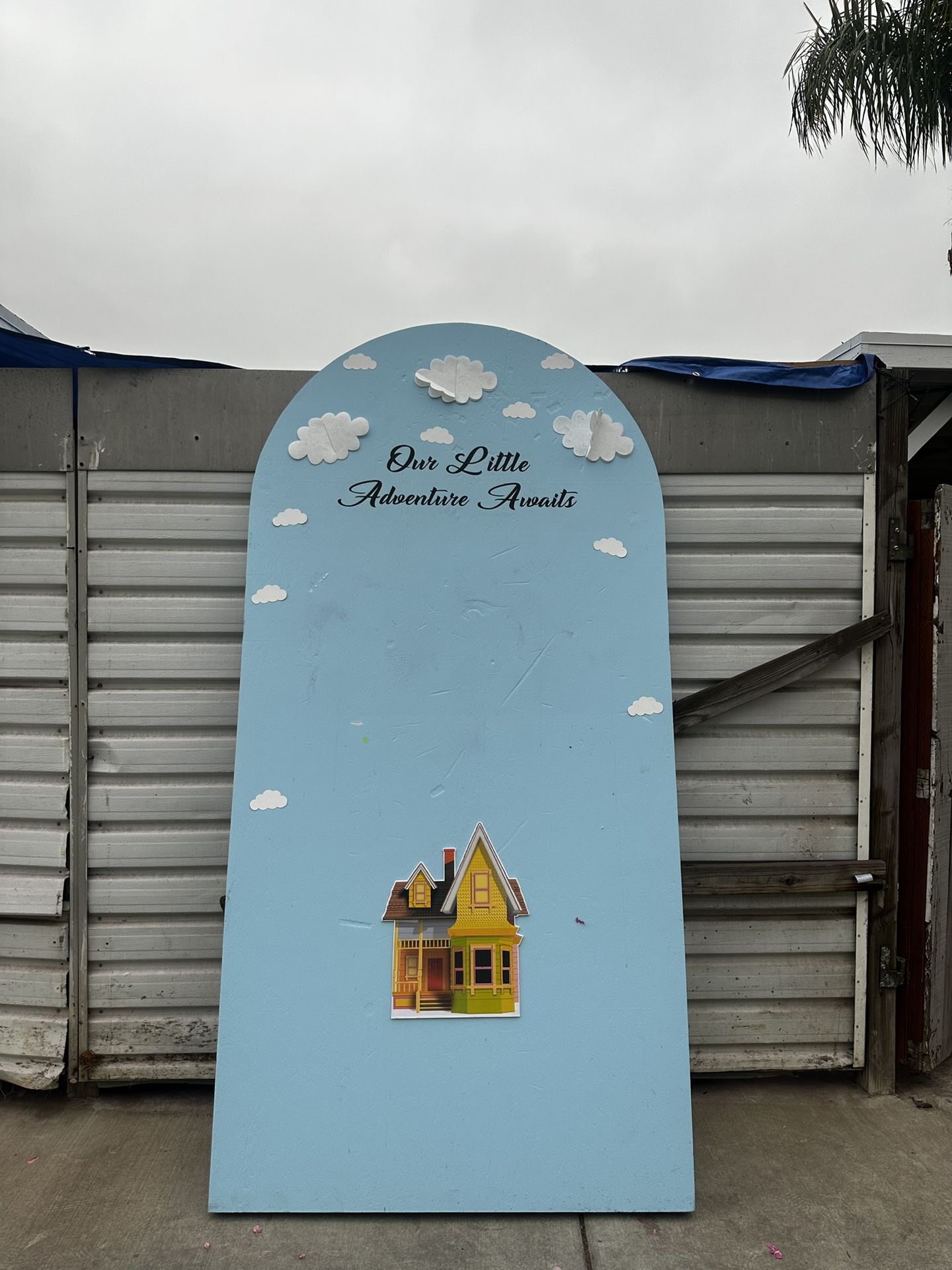 Gender Reveal/ Baby Shower Backboard