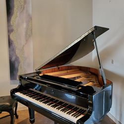Bergman Baby Grand Piano By Young Chang