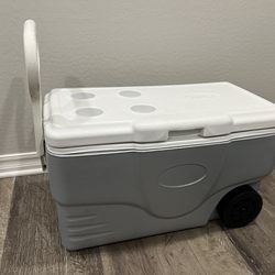Coleman Pull Cooler