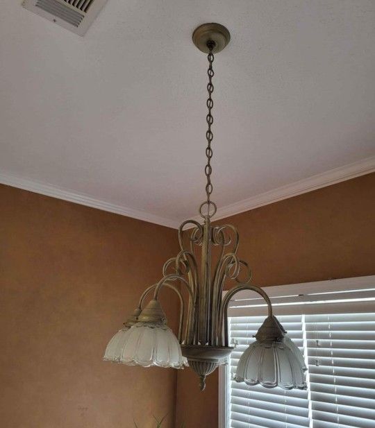 Light Fixture