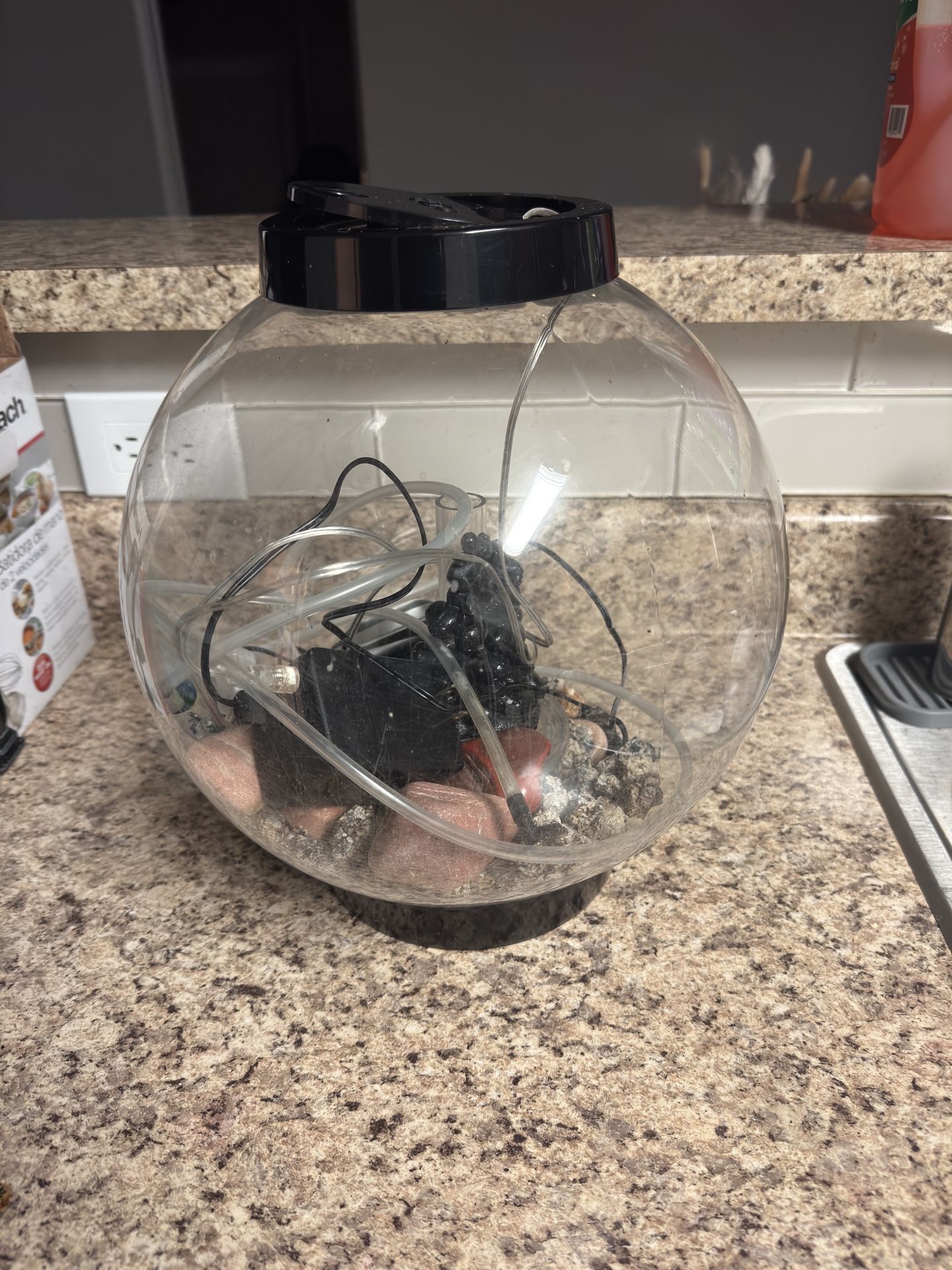 Fish Tank