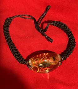 Scorpion bracelet