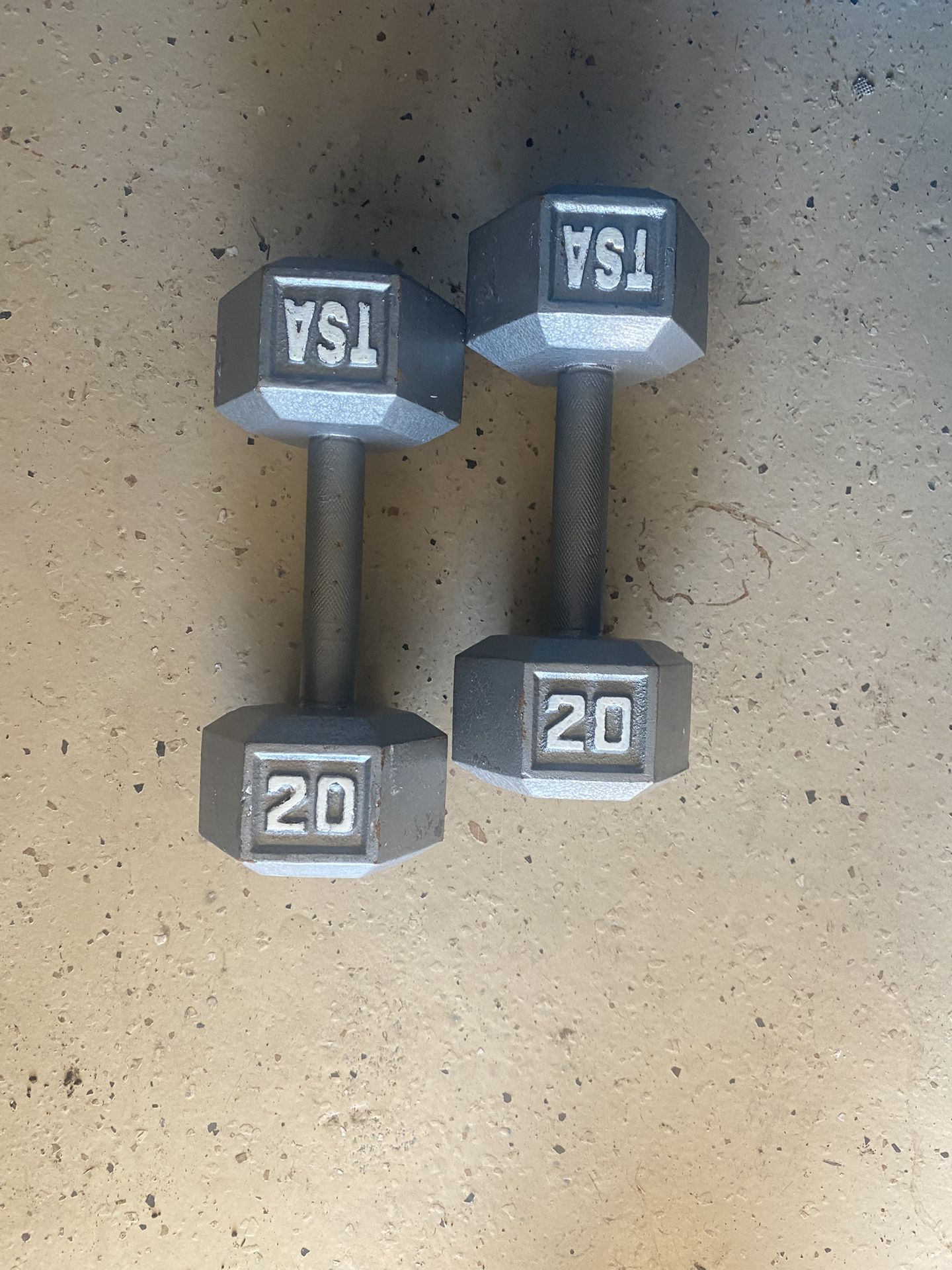 20lb Dumbbells (two)