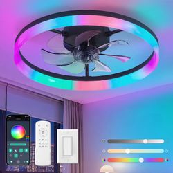 LEDIARY 20'' RGB Ceiling Fan with Light, Low Profile Ceiling Fans, Black