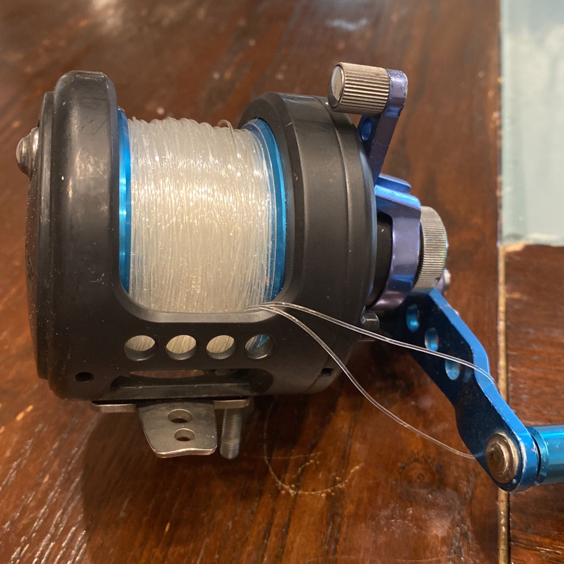 Saltist Reel